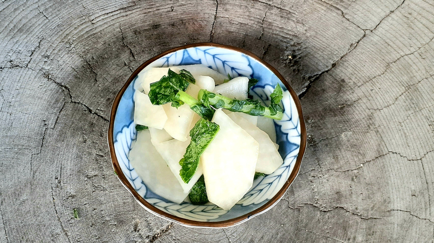 【Still good!】不揃いながらも輝く大根の生命力Tシャツ - Mighty Radish Tee/cotton 100%/size:S-XXL