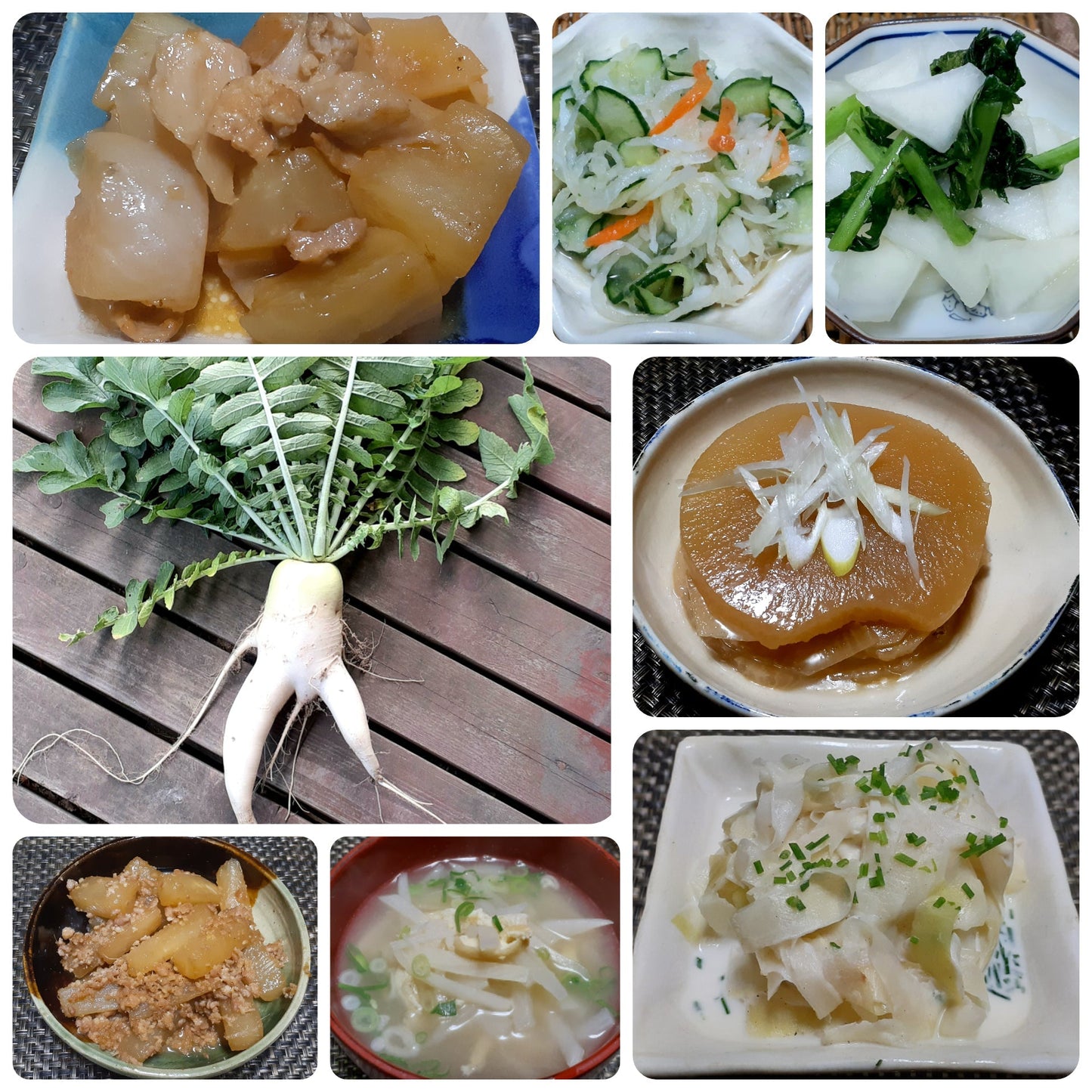 【Still good!】一目置かれる!/規格外大根レーサーTシャツ -Radish Racer Tee/cotton 100%/size:S-XXL