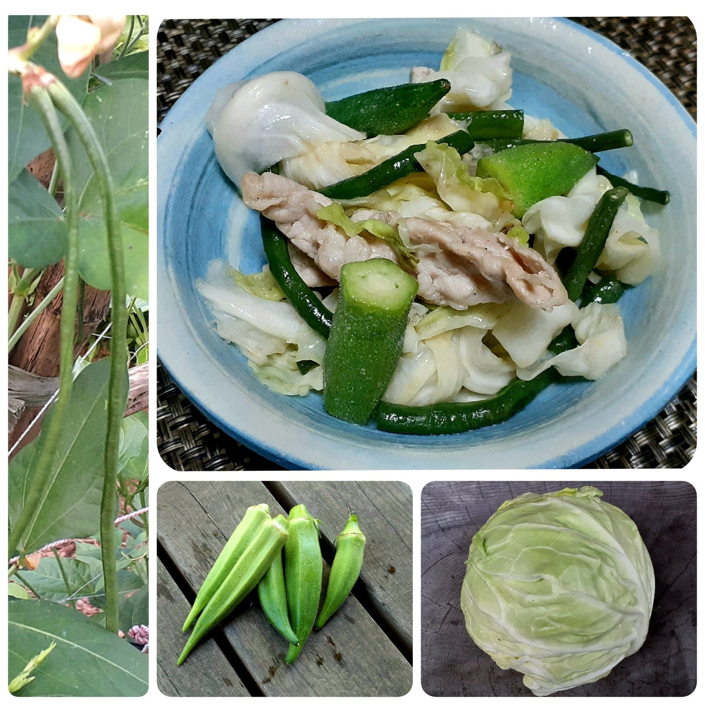 【Still good!】カラフルでポップな!/オクラマジックTシャツ -Okra Magic Tee/cotton 100%/size:S-XXL