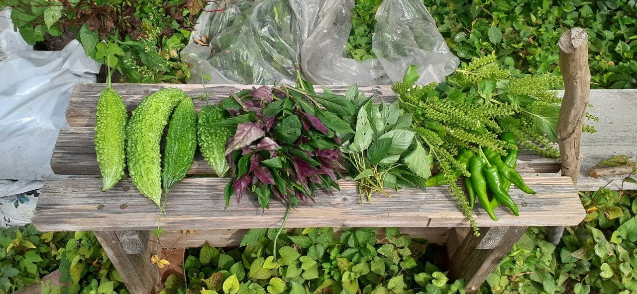 田舎の味わいが満載!【Still good!】無農薬の夏野菜Tシャツ - Organic Veggie Tee/cotton 100%/size:S-XXL