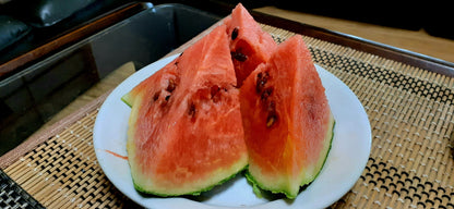 【Still good!】スイート・パッションTシャツ - Sweet Passion Tee/cotton 100%/size:S-XXL