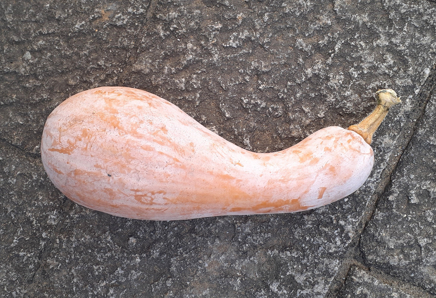 【Still good!】シンプルでオシャレ！/モノトーン野菜Tシャツ -Monotone Vegetable Tee/cotton 100%/size:S-XXL