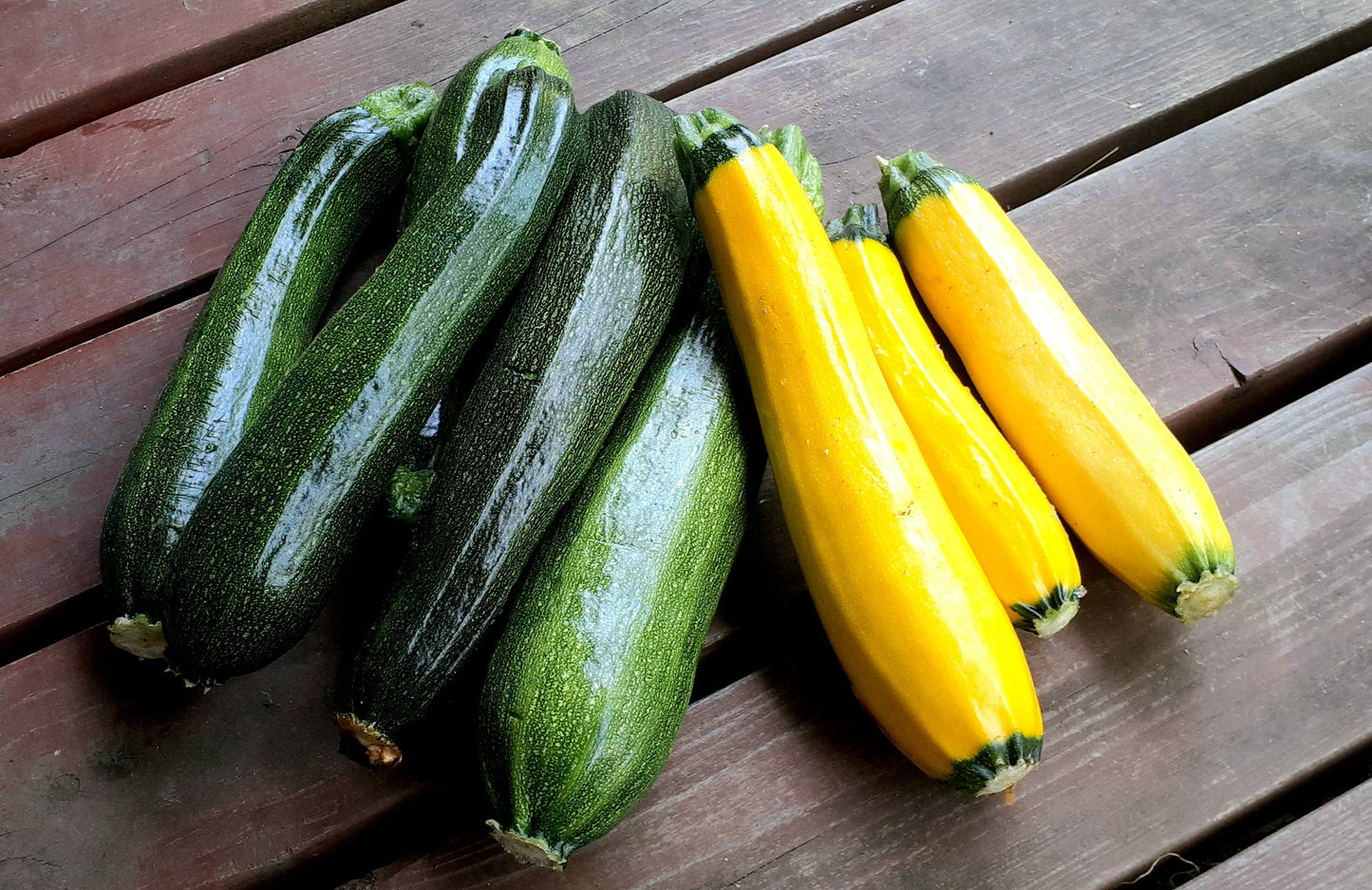 【Still good!】シンプルでオシャレ！/モノトーン野菜Tシャツ -Monotone Vegetable Tee/cotton 100%/size:S-XXL