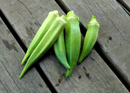 【Still good!】カラフルでポップな！/オクラマジックTシャツ -Okra Magic Tee/cotton 100%/size:S-XXL