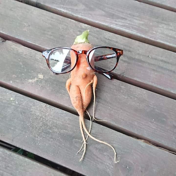 【Still good!】オシャレなギフトにぴったり！/エッグプラントTシャツ -Eggplant Glasses Tee/cotton 100%/size:S-XXL