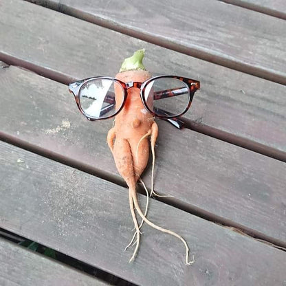 【Still good!】オシャレなギフトにぴったり！/エッグプラントTシャツ -Eggplant Glasses Tee/cotton 100%/size:S-XXL