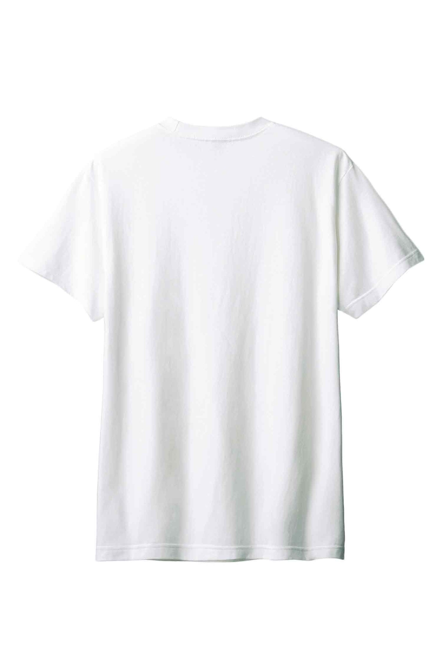【PORCHESTRA】初夏の一枚！/プルメリア油彩画風Tシャツ - Plumeria Oil Painting Style Tee /cotton 100%/size:XS-XXL